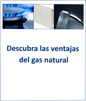 Descubra las ventajas  del gas natural