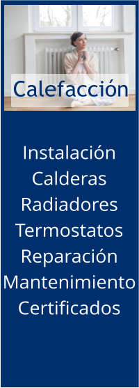 Instalación Calderas Radiadores Termostatos Reparación Mantenimiento Certificados  Calefacción
